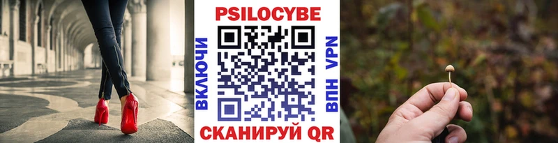 Галлюциногенные грибы Psilocybe  Инта 